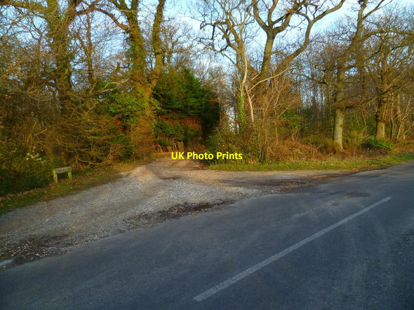 Photo 6"x4" The driveway to Robin Hill Farm East Ashling c2012