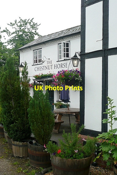 Photo 6"x4" The Chestnut Horse Easton\/SU5132 c2011