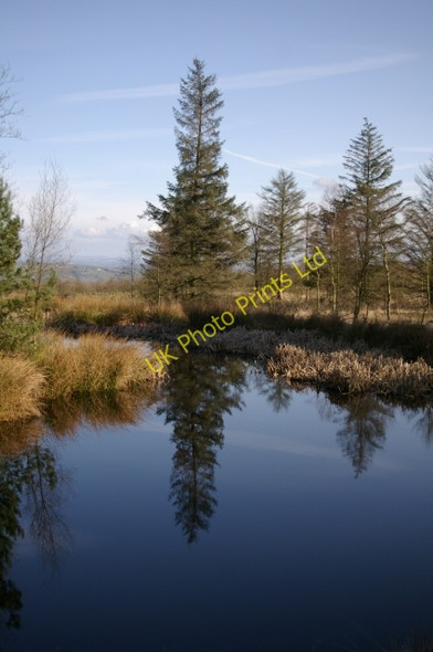 Photo 6"x4" Tarn at Beacon Fell Whitechapel\/SD5541 c2006