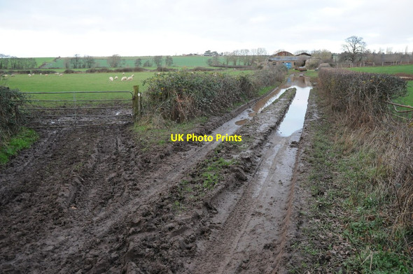 Photo 6"x4" Track to Lower Buildings, Hildesley Ross-on-Wye c2011
