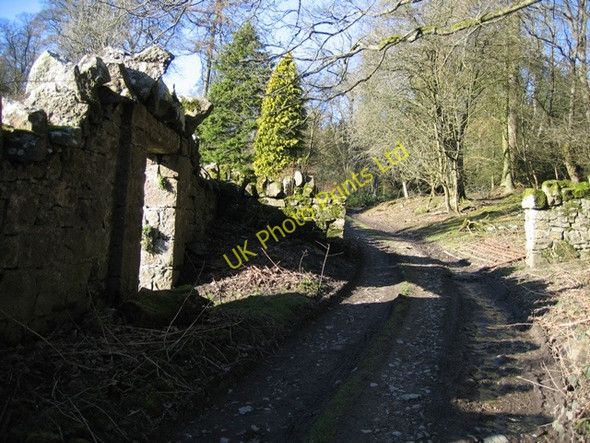 Photo 6"x4" Track by Bodidris Hall Hotel Gwernol c2007