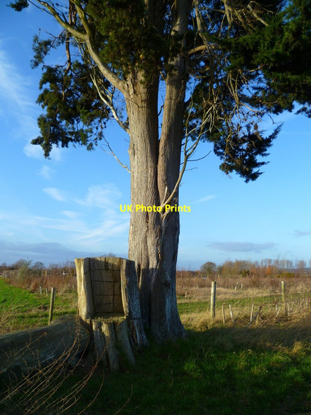 Photo 6"x4" Seat by path north of Hook Farm Dell Quay c2012