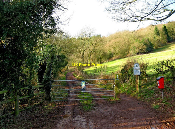 Photo 6"x4" Entrance to track onto the Clent Hills, near Clent Clent c2012