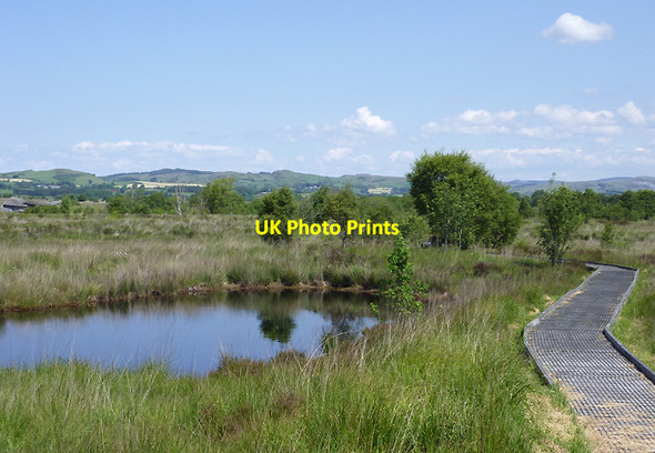 Photo 6"x4" Pool and boardwalk on Cors Caron, Ceredigion Tregaron c2011
