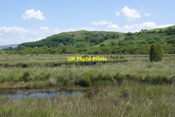 Photo 6"x4" Cors Caron north of Tregaron, Ceredigion Tregaron c2011
