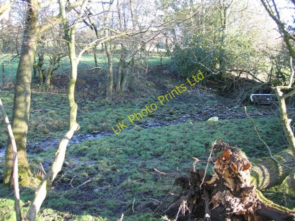 Photo 6"x4" The Clwydian Way and a Spring Gwernol c2007