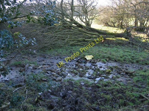Photo 6"x4" The Clwydian Way and a Stream Gwernol c2007