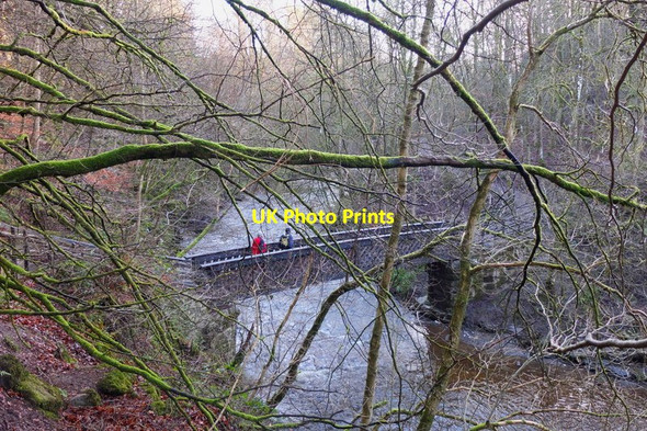 Photo 6"x4" South Bridge, Calderglen Country Park East Kilbride\/NS6354 c2012