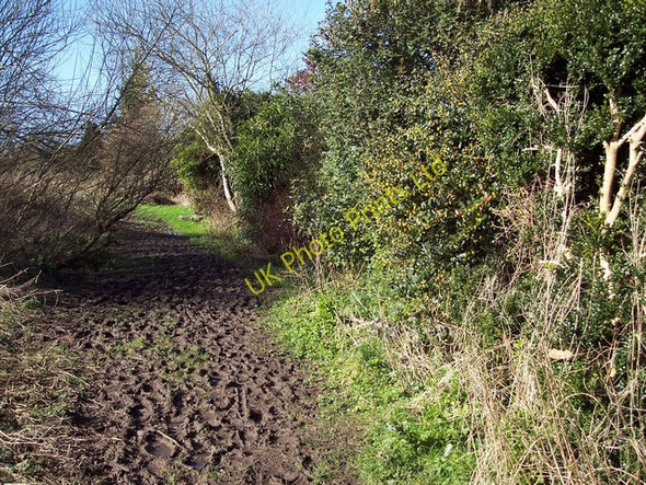 Photo 6"x4" Muddy footpath in Broad Chalke Broad Chalke c2007