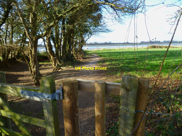 Photo 6"x4" Footpath from Apuldram to Fishbourne Channel Apuldram c2012