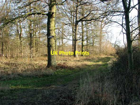 Photo 6"x4" Private track into Park Wood, Easton Easton\/TM2858 c2012