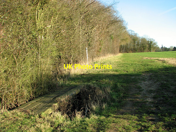 Photo 6"x4" Footpath to Easton past the Skouldings Easton\/TM2858 c2012