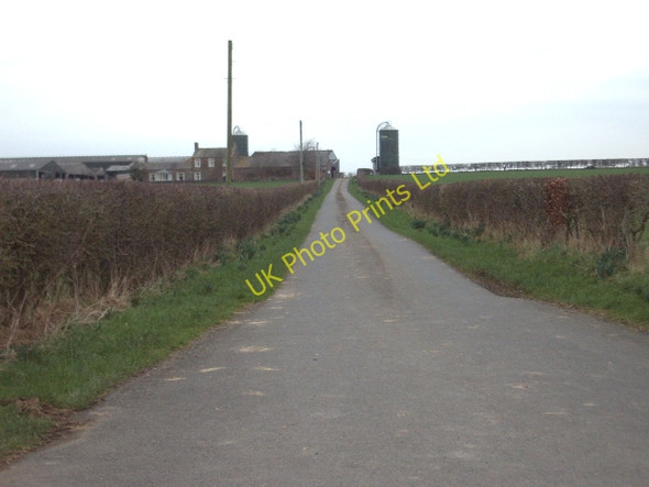 Photo 6"x4" The Road to Jackson Rigg Kirklinton c2007