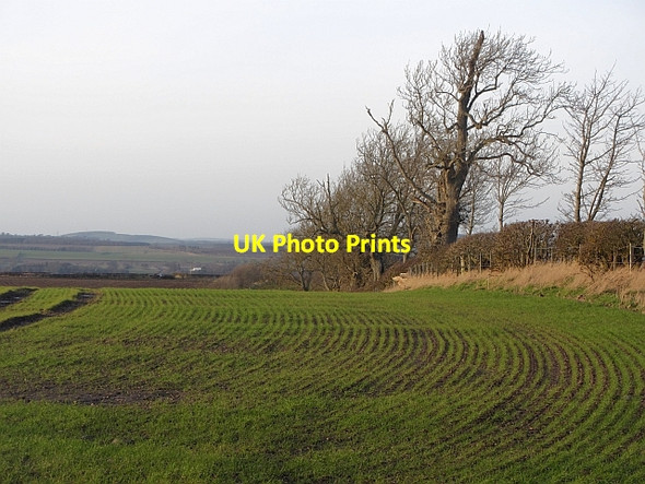 Photo 6"x4" Arable land, Heiton Heiton c2012