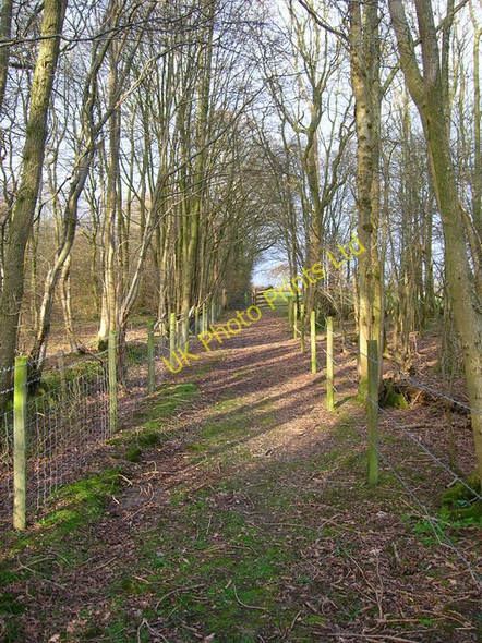 Photo 6"x4" Vanguard Way, Kiln Wood Golden Cross\/TQ5312 c2007