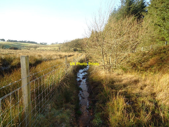 Photo 6"x4" Beam, aquatic Right of Way Greenhill\/NS8278 c2012