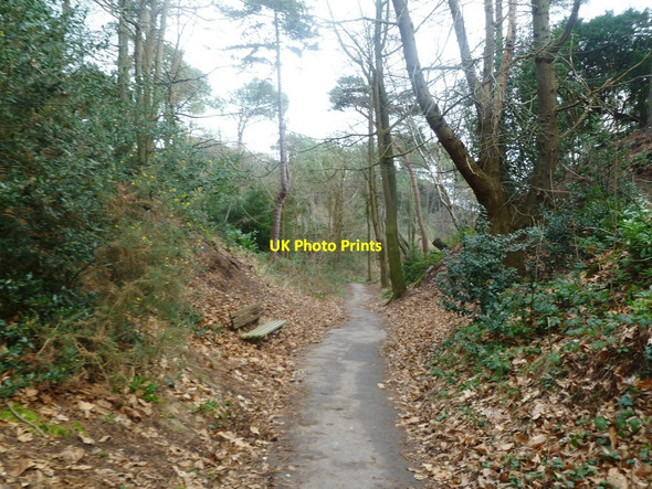 Photo 6"x4" Canford Cliffs Chine Canford Cliffs c2012