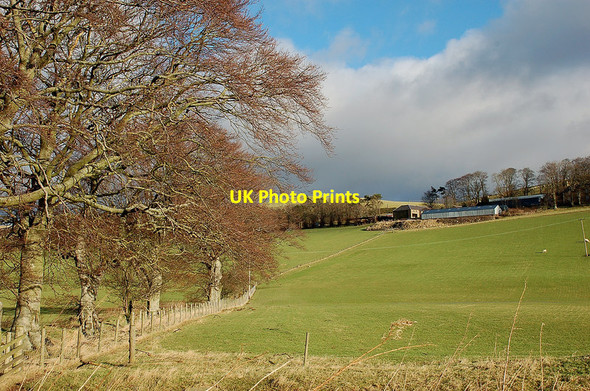 Photo 6"x4" Burnetland Farm Broughton\/NT1136 c2012