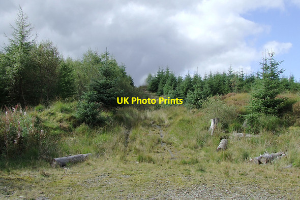 Photo 6"x4" Track through the Dalarwen Plantation, Ceredigion Llyn Brianne\/SN7951 c2010