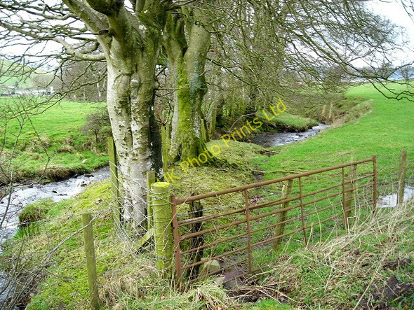Photo 6"x4" Burn Near Ferneycleuch Amisfield c2007