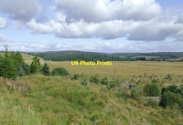 Photo 6"x4" Moorland and forest south-east of Soar-y-Mynydd, Ceredigion Pen y Gurnos c2010
