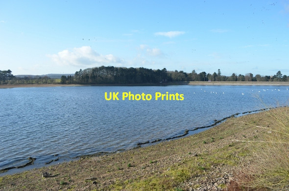 Photo 6"x4" Swithland Reservoir Rothley Plain c2012