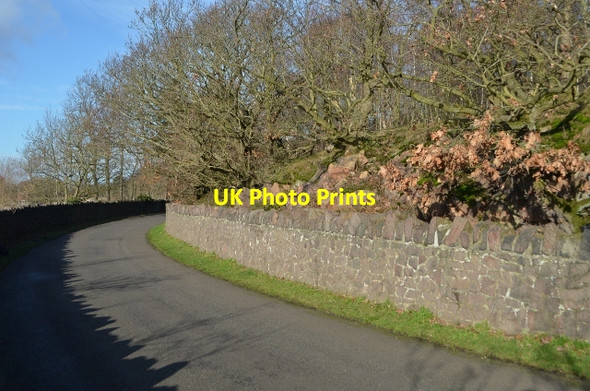 Photo 6"x4" Kinchley Lane Rothley Plain c2012