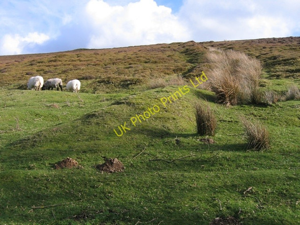 Photo 6"x4" Ancient Wall Line Bryneglwys\/SJ1447 c2007