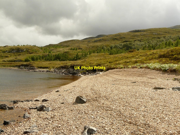 Photo 6"x4" Loch Assynt south shore Inchnadamph c2011