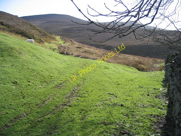 Photo 6"x4" Track Junction near Moel y Gaer Bryneglwys\/SJ1447 c2007