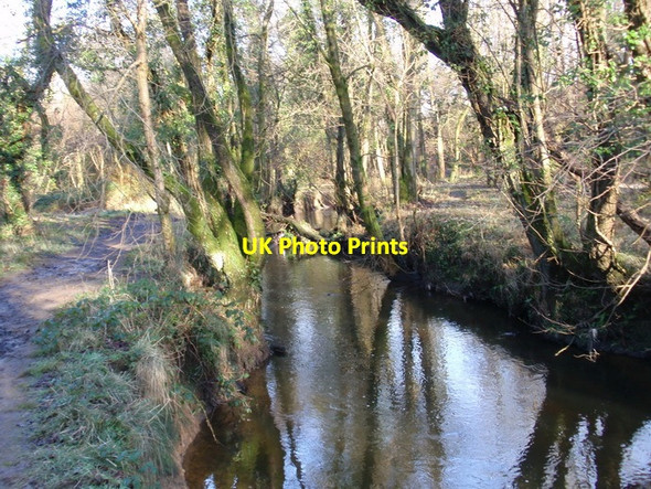 Photo 6"x4" Llwybr glanafon \/ Riverside path Cadle c2012