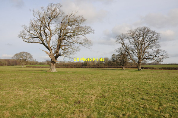 Photo 6"x4" Farmland at Whitney-on-Wye Millhalf c2012