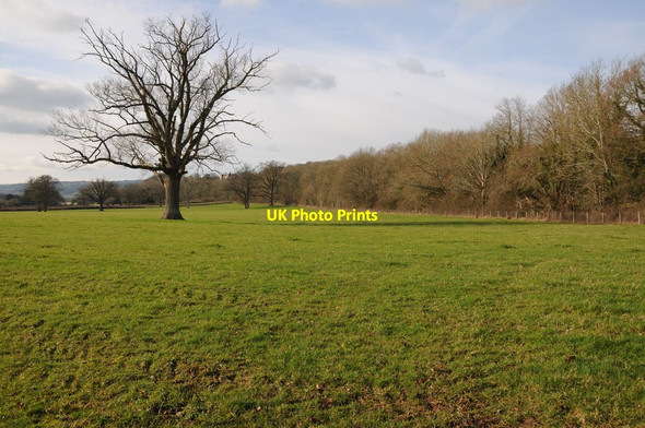 Photo 6"x4" Field at Whitney-on-Wye Millhalf c2012
