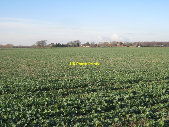 Photo 6"x4" View towards Bank End Farm and Bank Farm Blaxton\/SE6700 c2012