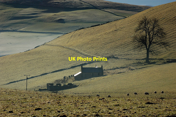 Photo 6"x4" Longcote farm Eddleston c2012