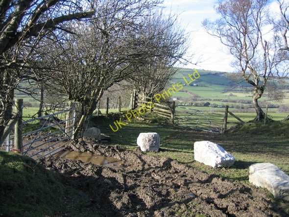 Photo 6"x4" A Muddy Track Junction Bryneglwys\/SJ1447 c2007