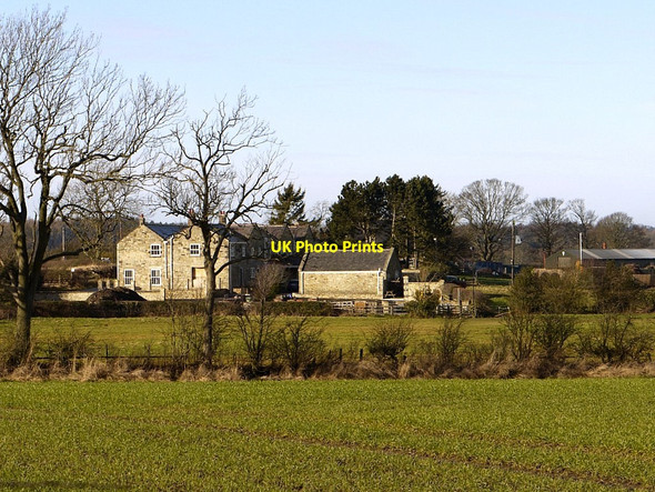 Photo 6"x4" The Plough Inn, Stamfordham Road Dalton\/NZ1171 c2012