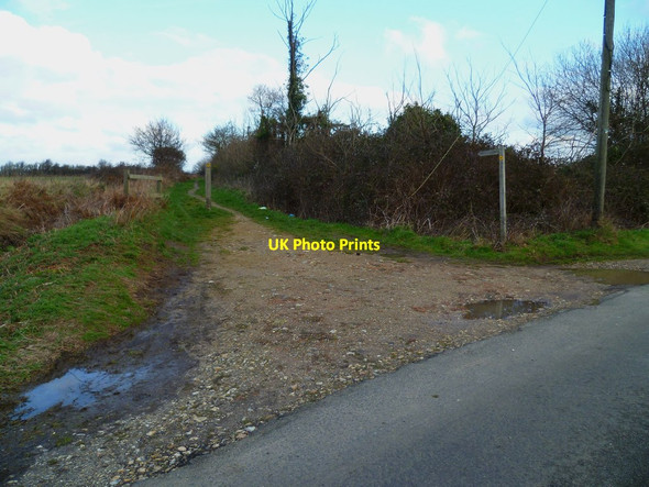 Photo 6"x4" Footpath going north from Rookery Lane Sidlesham c2012