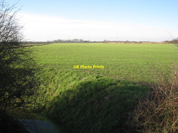 Photo 6"x4" View near Newlands Farm Blaxton\/SE6700 c2012