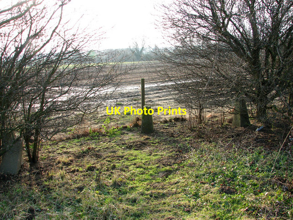 Photo 6"x4" Field boundary near Hollesley Hollesley c2012