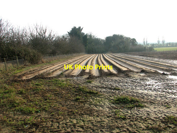 Photo 6"x4" Cultivated field near Hollesley Hollesley c2012