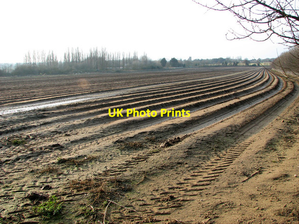 Photo 6"x4" Cultivated field east of Hollesley Hollesley c2012