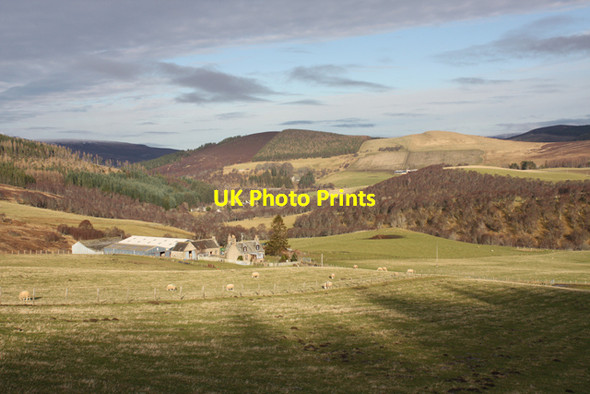 Photo 6"x4" Easter Fodderletter Farm Bridge of Brown c2012