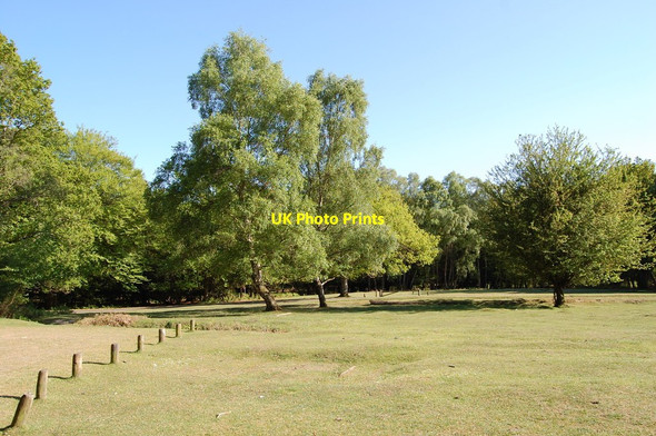 Photo 6"x4" Birches Millyford car park New Forest Bank\/SU2807 c2011