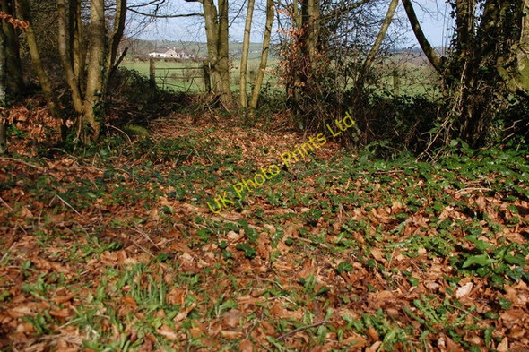 Photo 6"x4" Looking out from Glenoe Glen Glenoe c2007