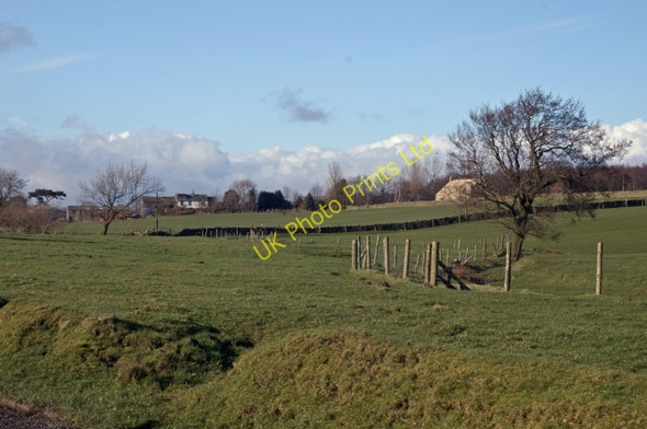 Photo 6"x4" Fields below Rough Hill Grunsagill c2007