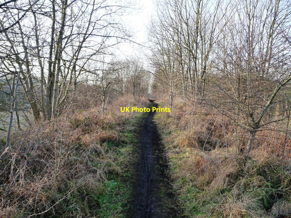 Photo 6"x4" View along a former mineral railway line Durham c2012