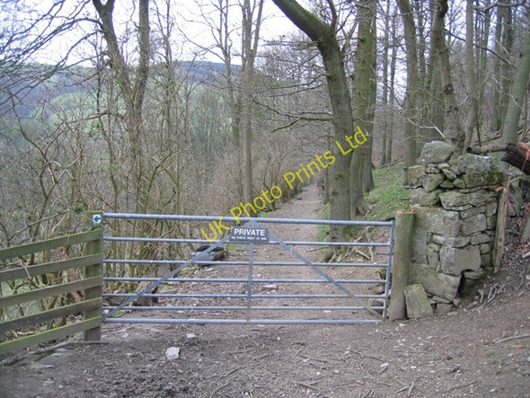 Photo 6"x4" Private Drive by the Offas Dyke Long Distance Path Bronygarth c2007