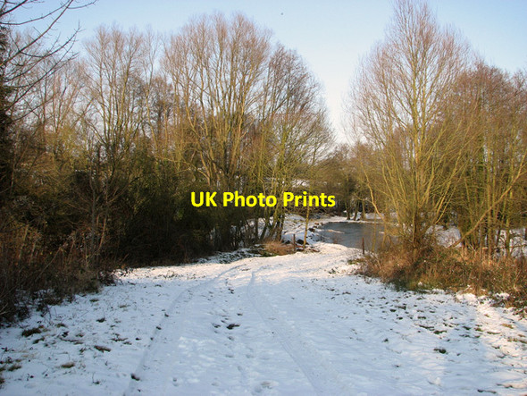Photo 6"x4" Track to frozen pond near Hintlesham Chattisham c2012