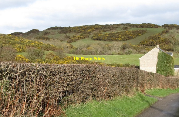 Photo 6"x4" Partly reclaimed hill land above Orchard Road Dundrum\/J4036 c2012